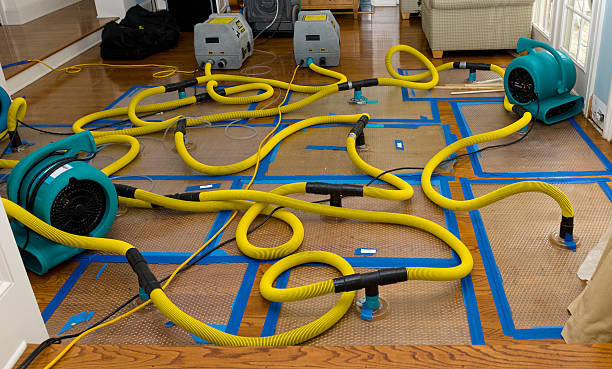 Professional Basement Flood Cleanup technician working in Pine Mountain Valley, GA